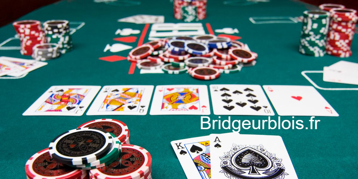 bridgeurblois.fr